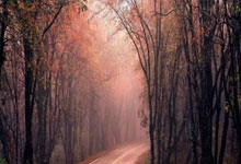 狗子28:埃亚拉:我最大的偶像是莎拉波娃,也喜欢李娜等球员.