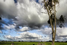 狗子28：德天空：阿莫林加盟曼联预计将于本周完成并官宣.